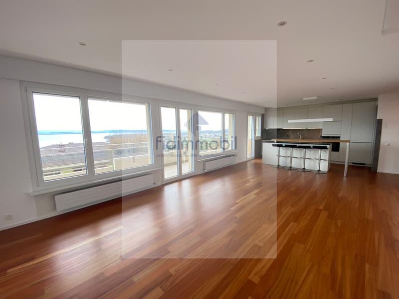 APPARTEMENT ENTIEREMENT RENOVE AVEC VUE IMPRENABLE SUR LE LAC (4)