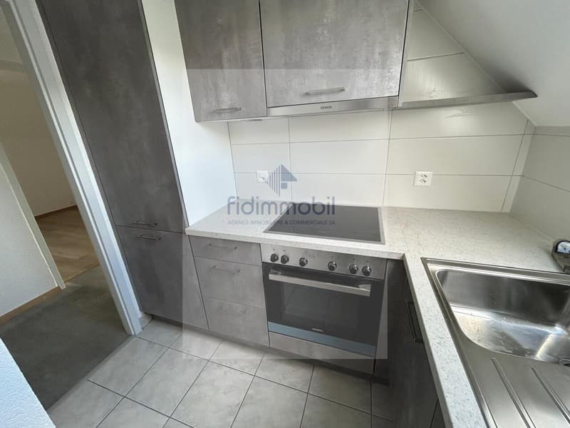 APPARTEMENT RENOVE DANS QUARTIER CALME (2)