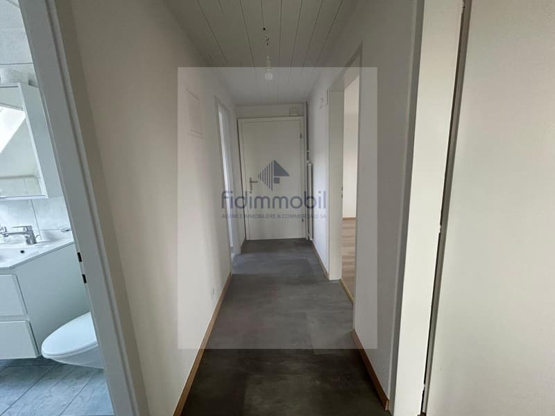 APPARTEMENT RENOVE DANS QUARTIER CALME (7)