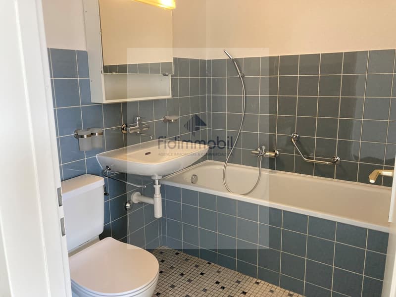 Studio rénové,  lumineux situé en plein centre-ville (4)