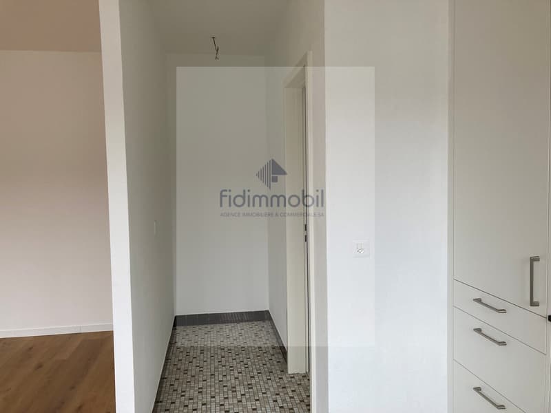 Studio rénové,  lumineux situé en plein centre-ville (3)