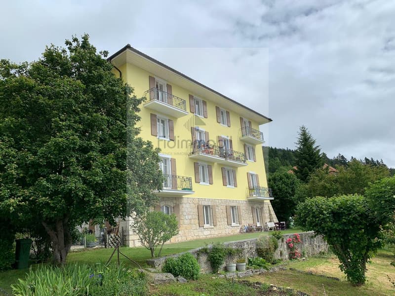 BEL APPARTEMENT AVEC BALCON PROCHE DE TOUTES COMMODITÉS (1)