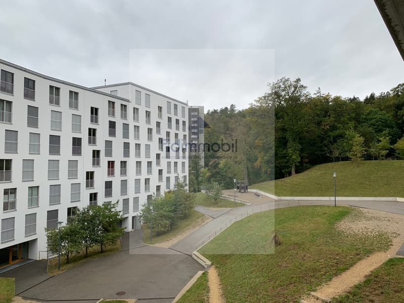 MAGNIFIQUE APPARTEMENT PROCHE DE TOUTES LES COMMODITES (10)