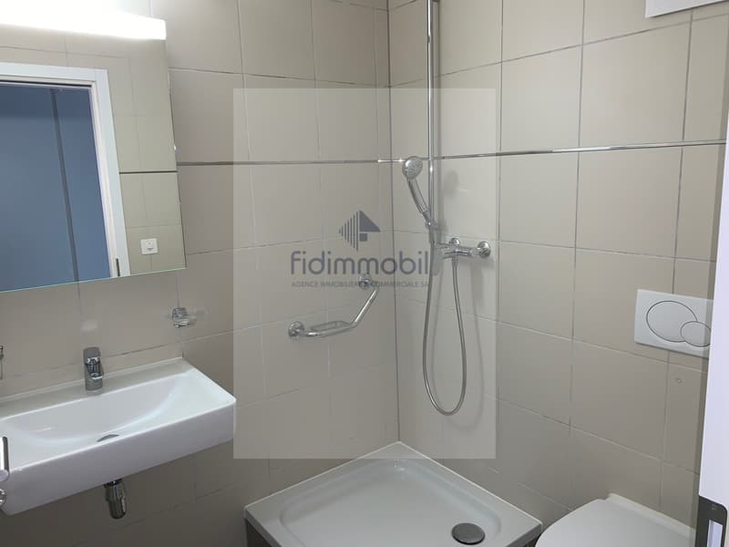 MAGNIFIQUE APPARTEMENT PROCHE DE TOUTES LES COMMODITES (8)