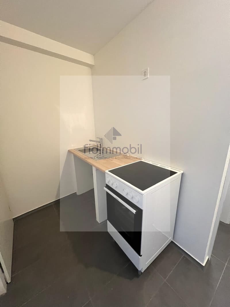 Splendide studio refait à neuf à Peseux (3)