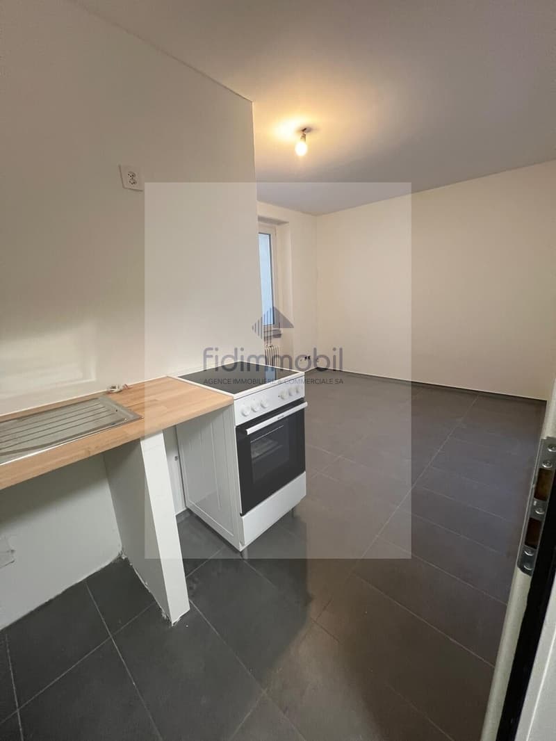 Splendide studio refait à neuf à Peseux (2)