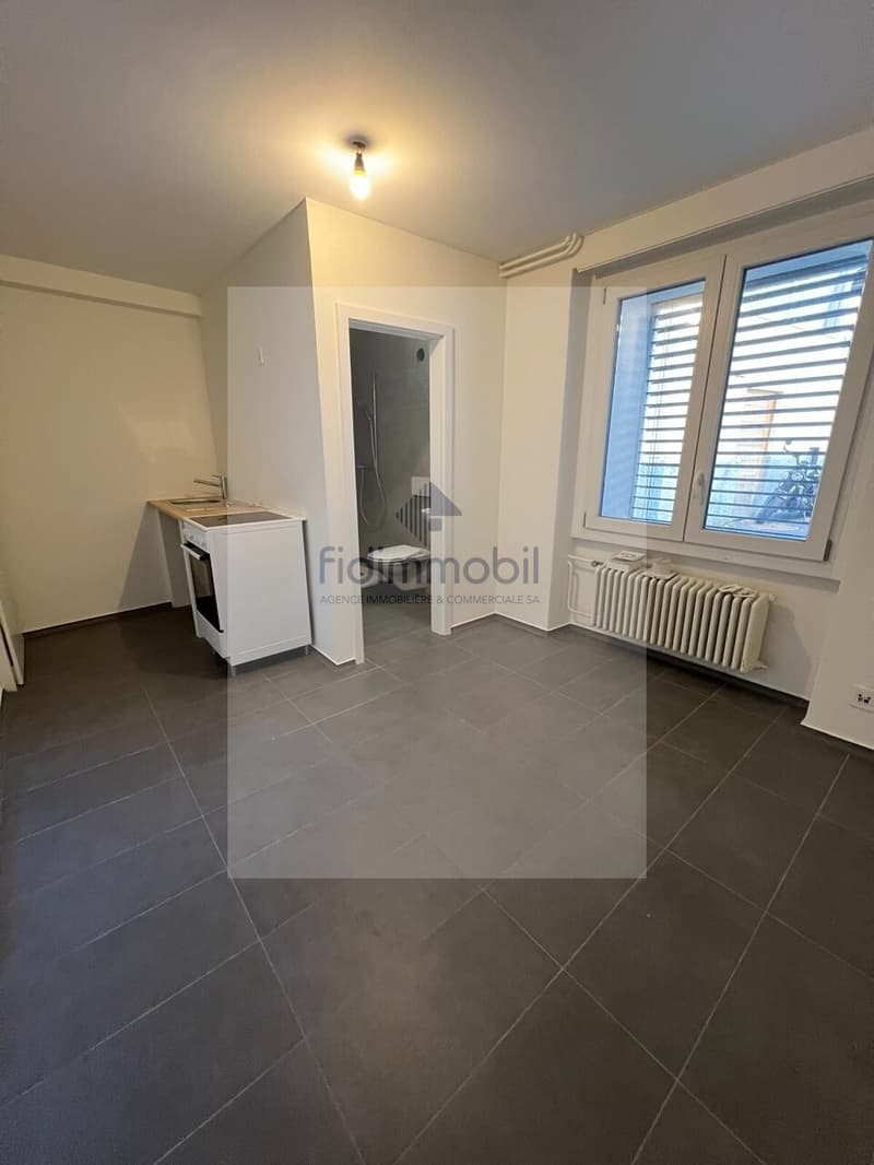Splendide studio refait à neuf à Peseux (4)
