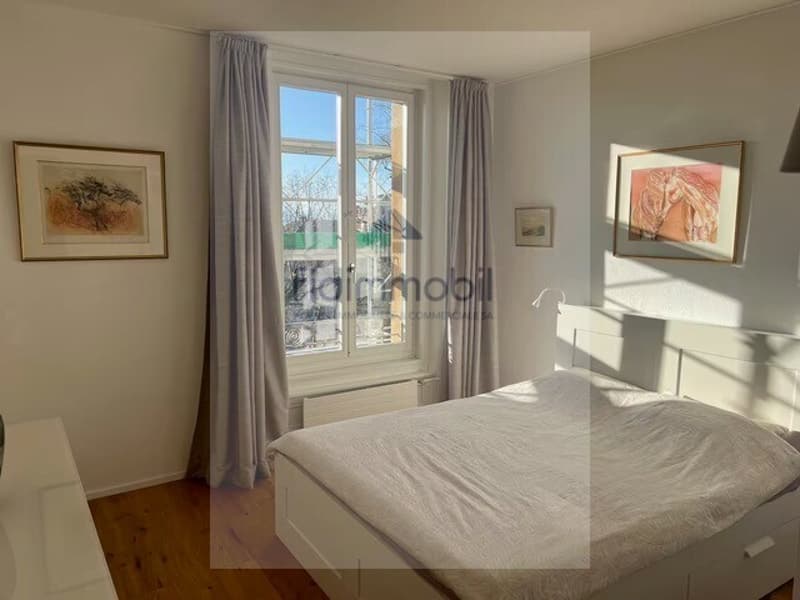 Magnifique appartement en ville de Neuchâtel (7)