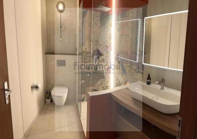Magnifique appartement en ville de Neuchâtel (8)