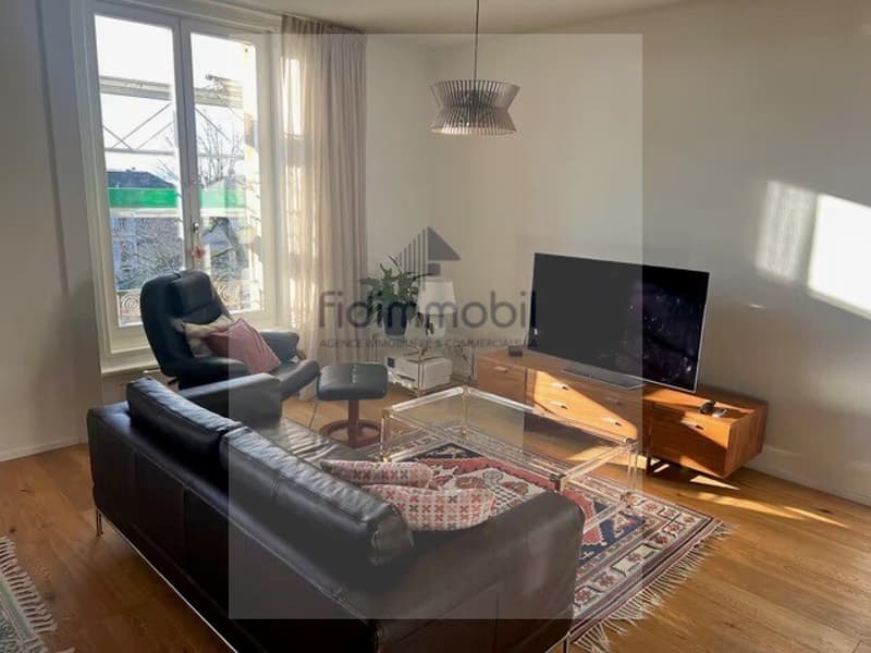Magnifique appartement en ville de Neuchâtel (5)