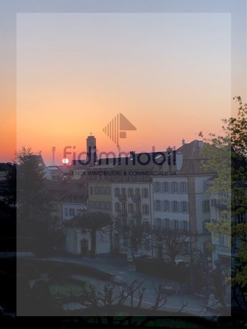 Magnifique appartement en ville de Neuchâtel (9)