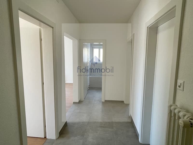 Appartement 3 pièces entièrement rénové (5)