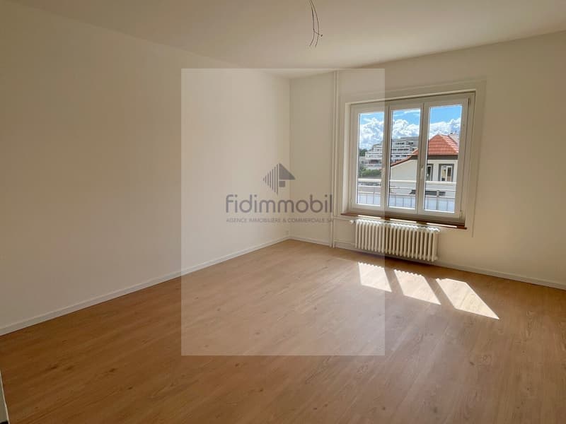 Appartement 3 pièces entièrement rénové (4)