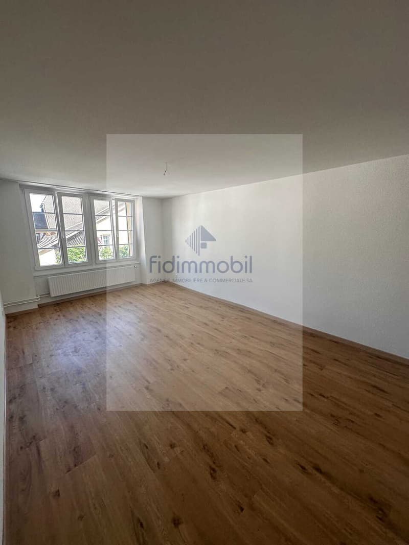 APPARTEMENT ENTIÈREMENT RÉNOVÉ DANS QUARTIER CALME (6)