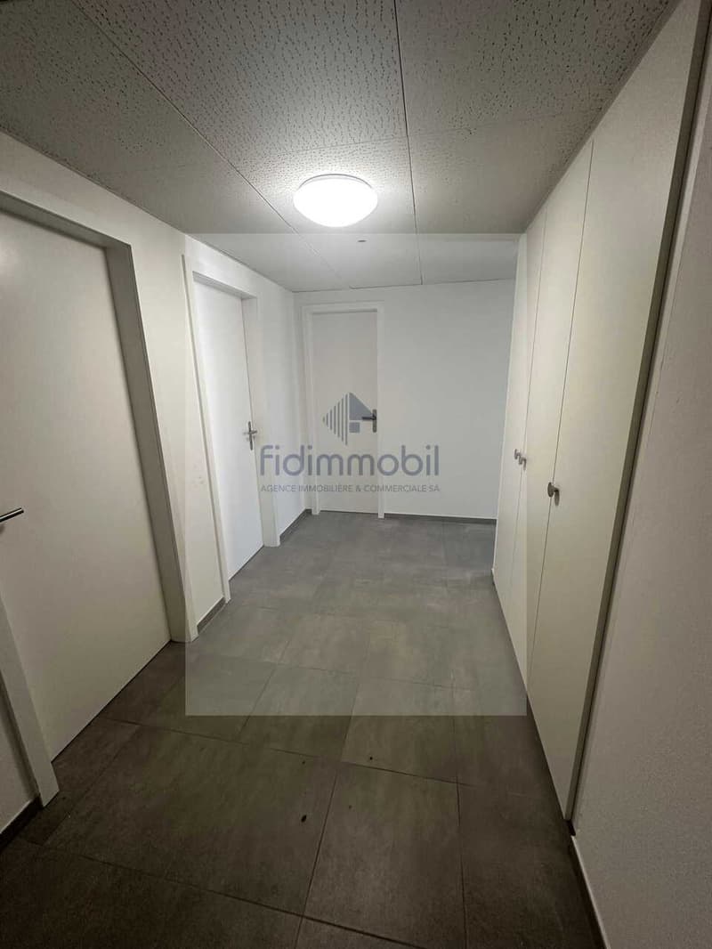 APPARTEMENT ENTIÈREMENT RÉNOVÉ DANS QUARTIER CALME (3)