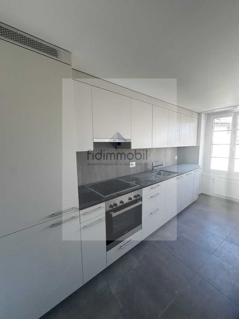 APPARTEMENT ENTIÈREMENT RÉNOVÉ DANS QUARTIER CALME (1)