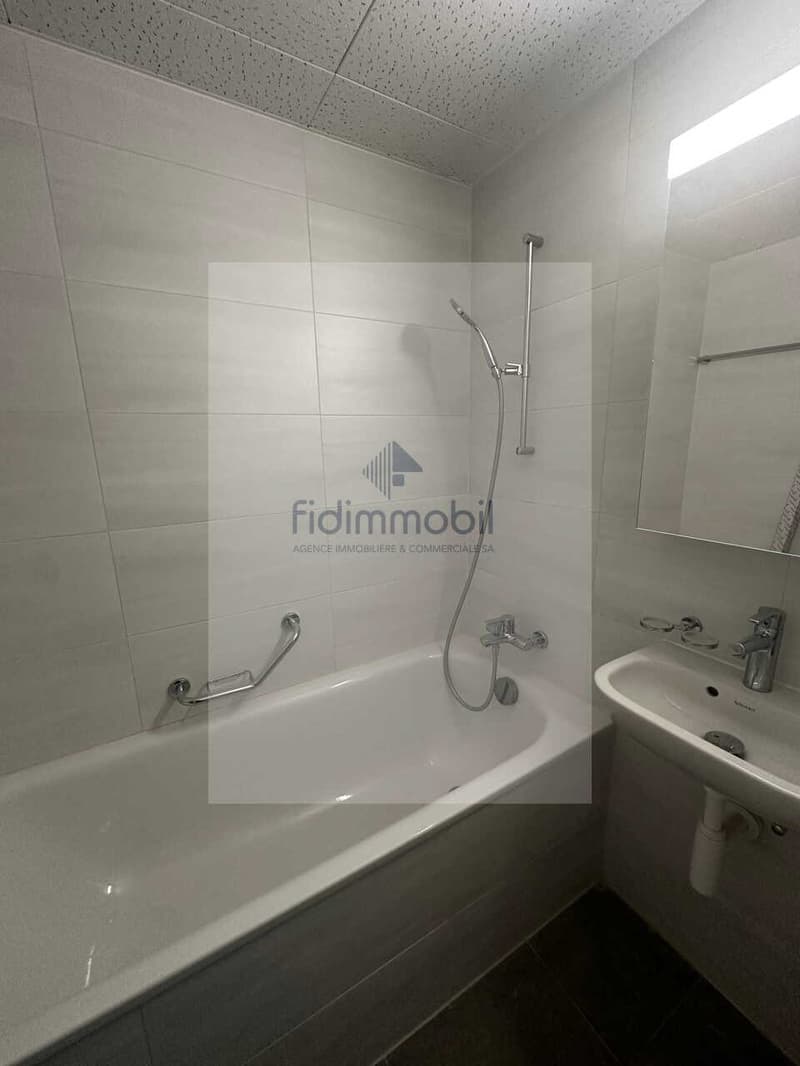 APPARTEMENT ENTIÈREMENT RÉNOVÉ DANS QUARTIER CALME (8)