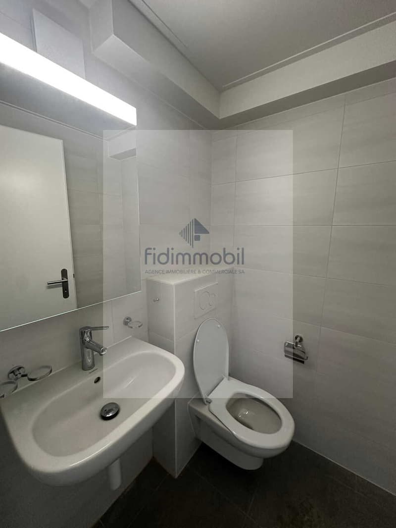 APPARTEMENT ENTIÈREMENT RÉNOVÉ DANS QUARTIER CALME (9)