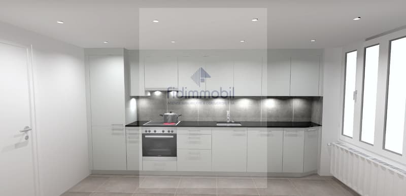APPARTEMENT ENTIÈREMENT RÉNOVÉ DANS QUARTIER CALME (1)