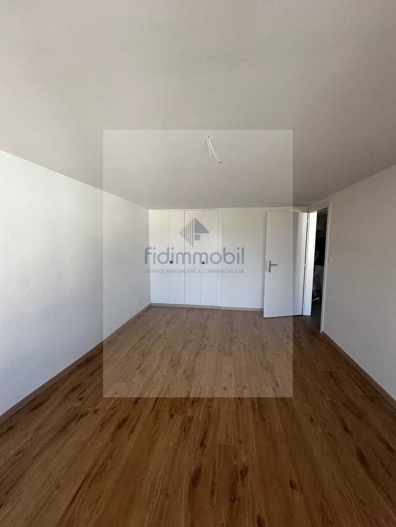 APPARTEMENT ENTIÈREMENT RÉNOVÉ DANS QUARTIER CALME (7)