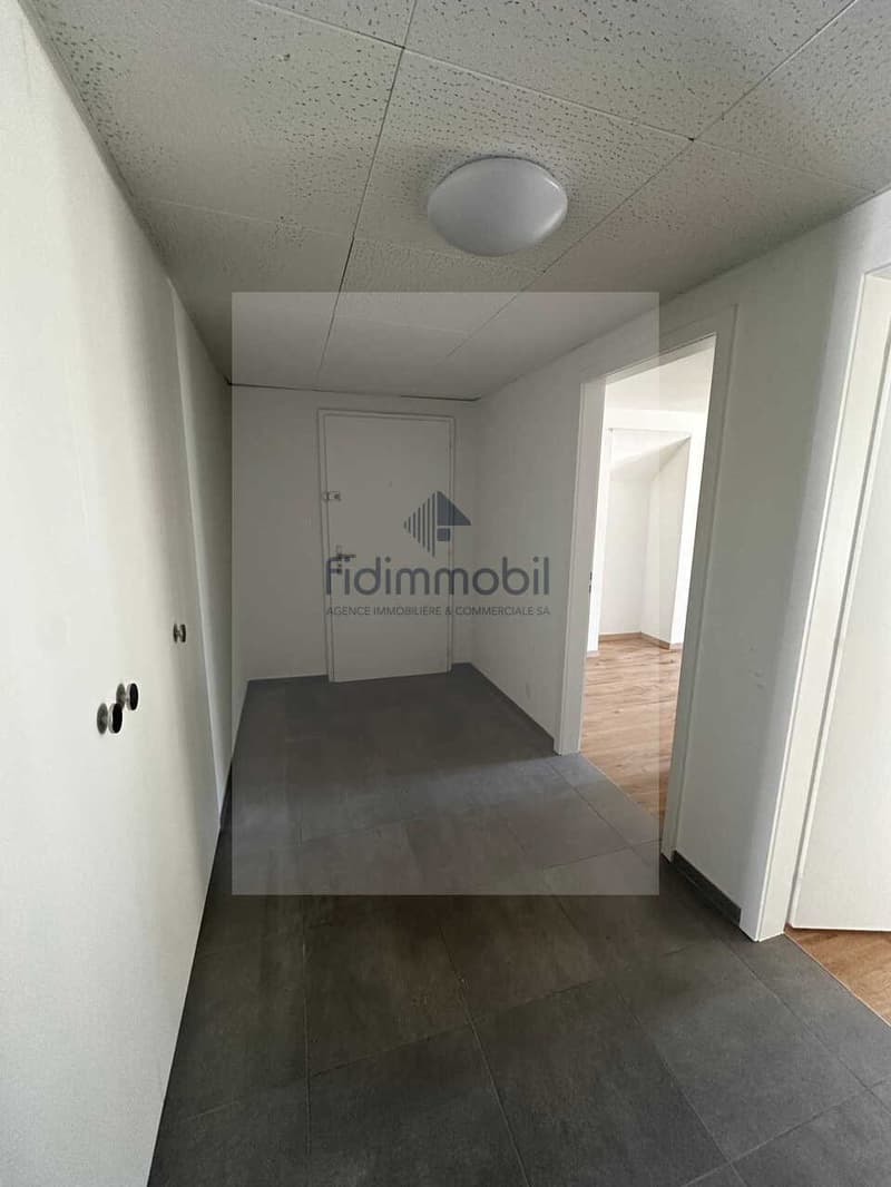 APPARTEMENT ENTIÈREMENT RÉNOVÉ DANS QUARTIER CALME (4)