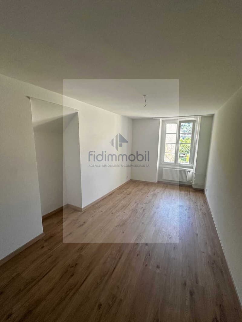 APPARTEMENT ENTIÈREMENT RÉNOVÉ DANS QUARTIER CALME (5)