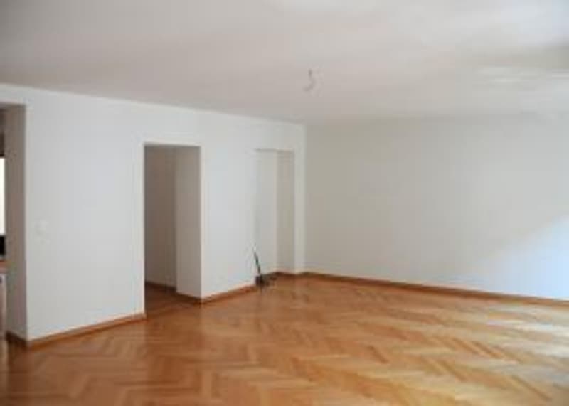 Magnifique appartement avec belle terrasse au centre ville (3)