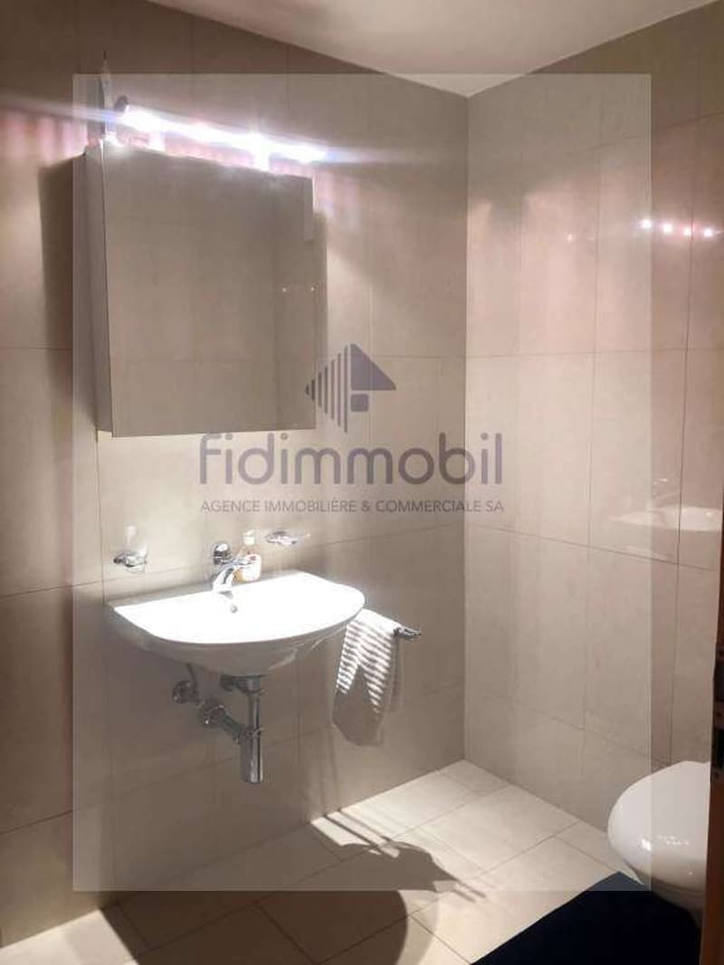 Magnifique appartement avec belle terrasse au centre ville (8)