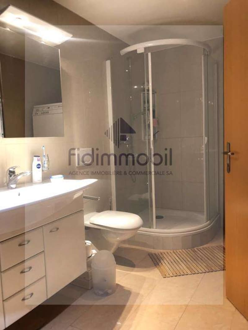 Magnifique appartement avec belle terrasse au centre ville (6)
