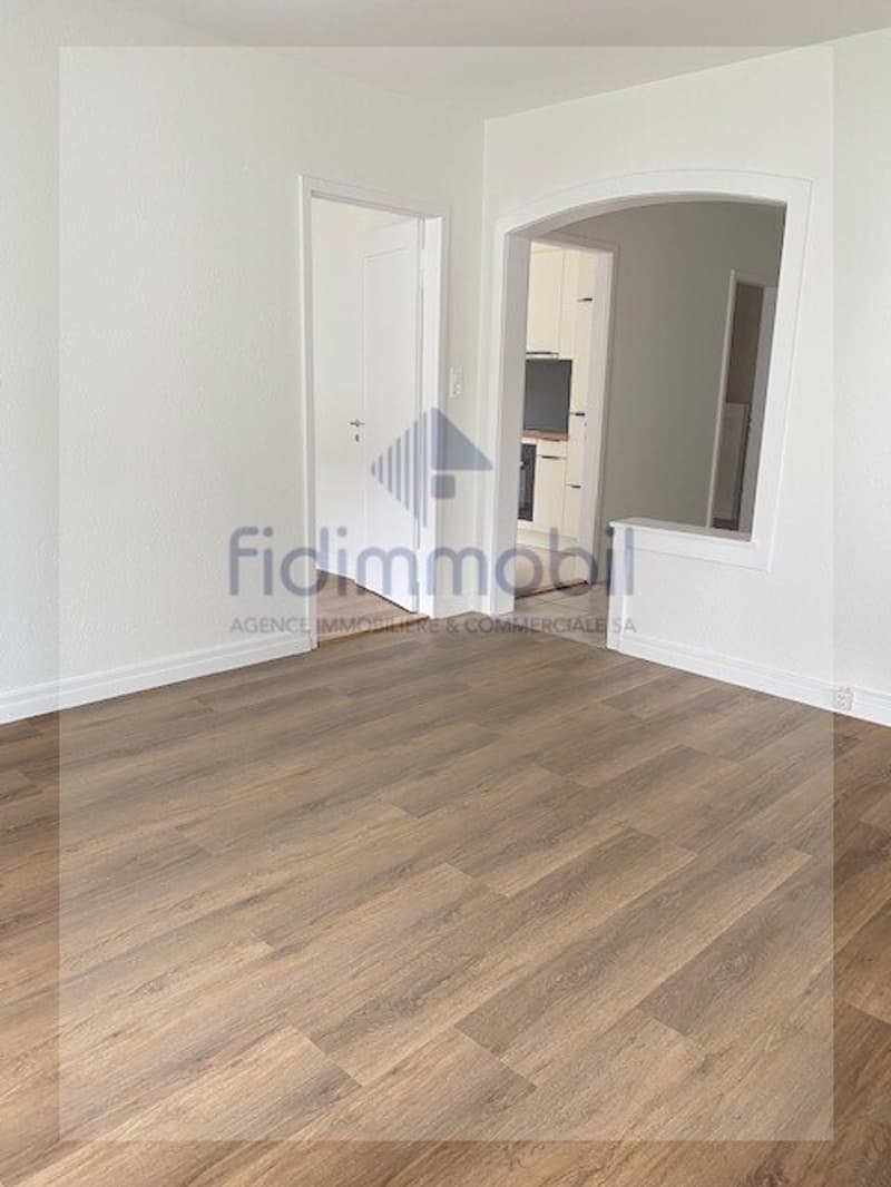Appartement entièrement rénové (2)
