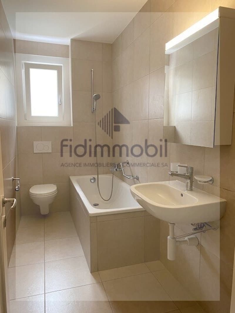 Appartement entièrement rénové (5)