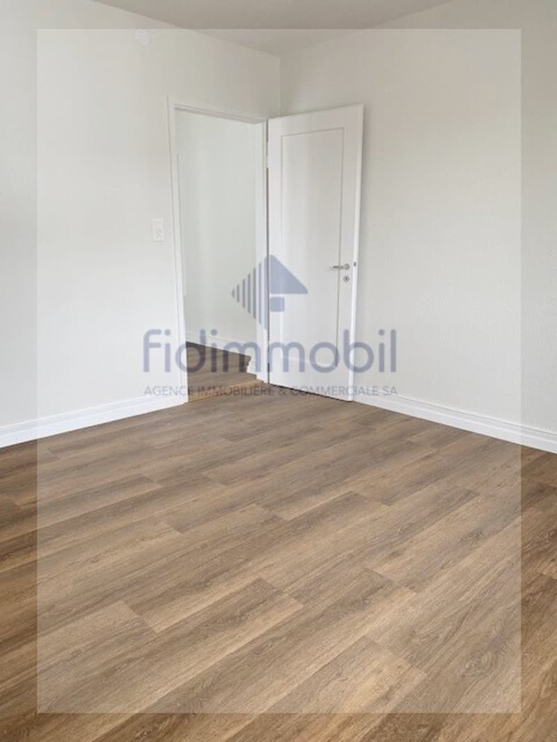Appartement entièrement rénové (4)
