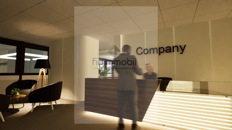 Surfaces administratives modulables à louer dès CHF 4'433.- / mois (5)