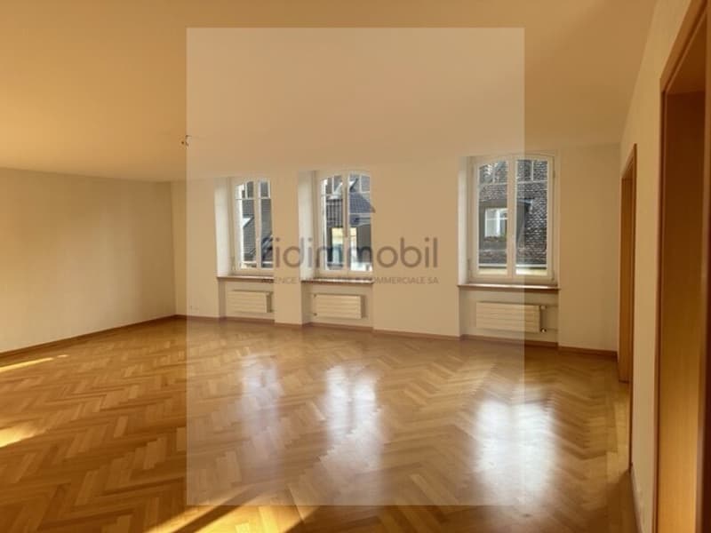 Magnifique appartement au centre-ville (4)