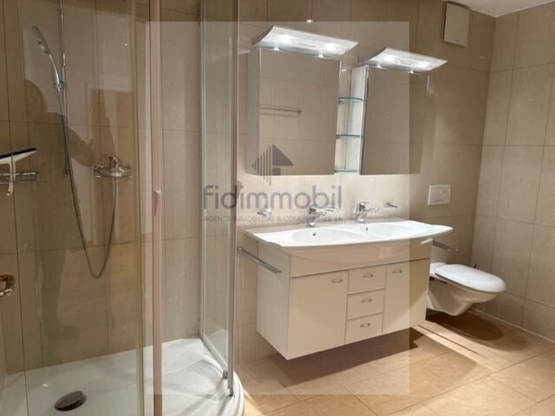 Magnifique appartement au centre-ville (6)