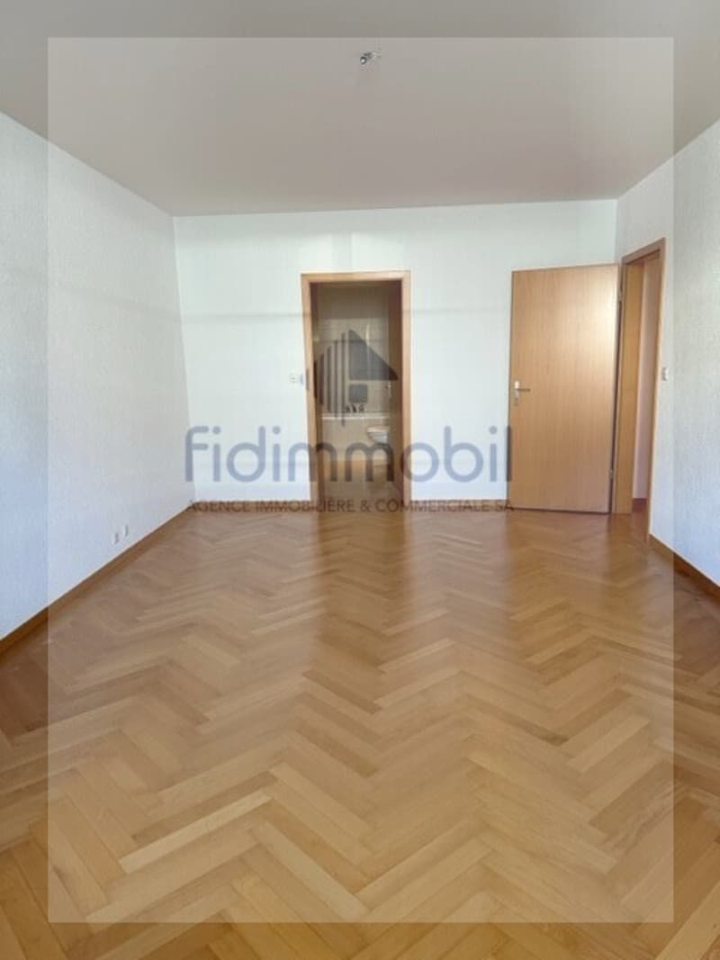 Magnifique appartement au centre-ville (8)