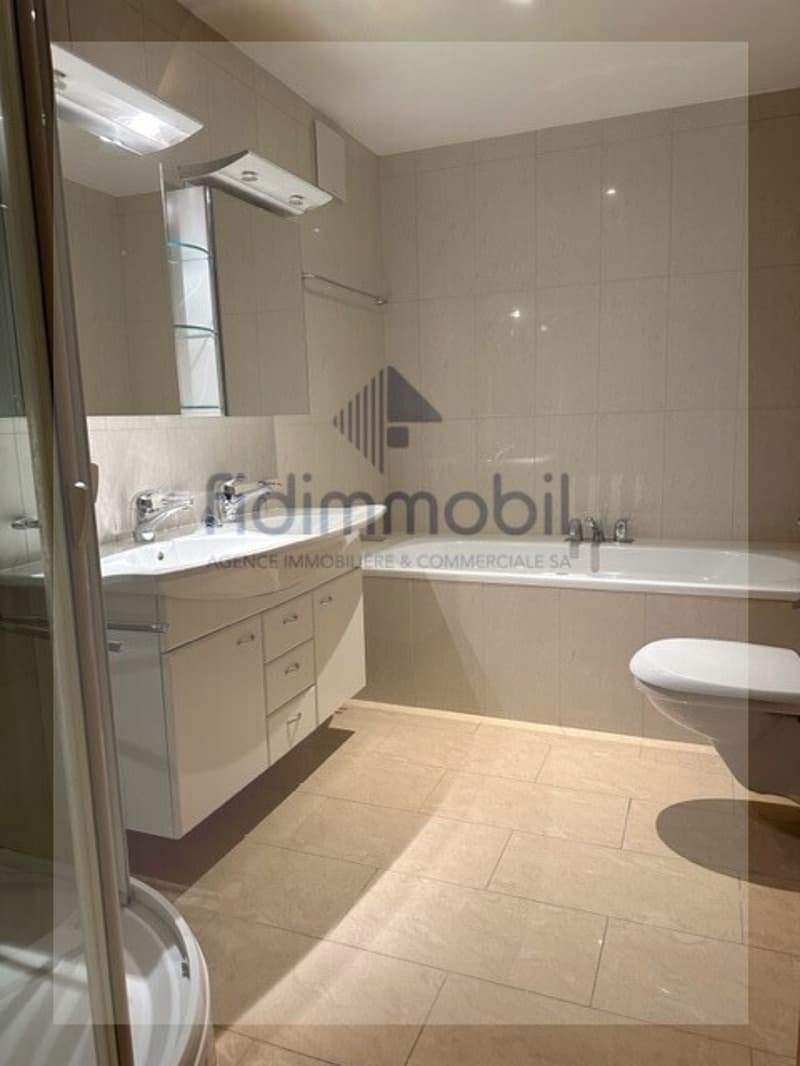 Magnifique appartement au centre-ville (7)