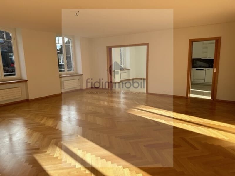 Magnifique appartement au centre-ville (3)