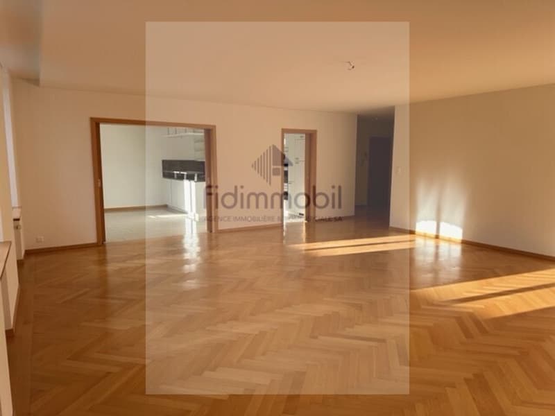 Magnifique appartement au centre-ville (2)