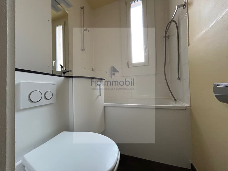 BEL APPARTEMENT PROCHE DE LA GARE ET DE TOUTES LES COMMODITES (6)