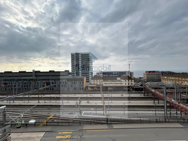 BEL APPARTEMENT PROCHE DE LA GARE ET DE TOUTES LES COMMODITES (8)