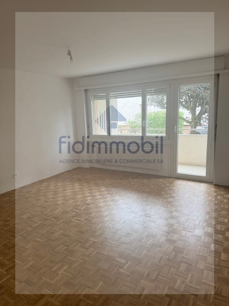 Appartement entièrement rénové de 3 pièces (4)