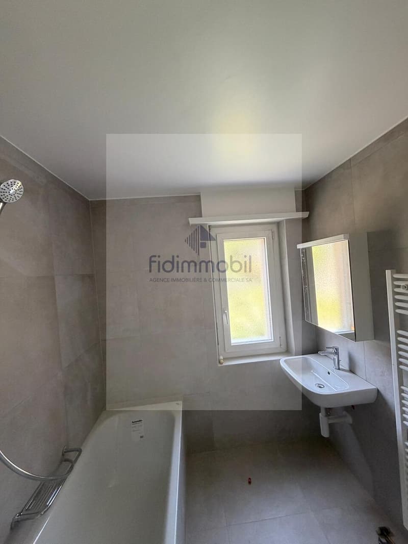 Appartement de 4 pièces entièrement rénové (4)
