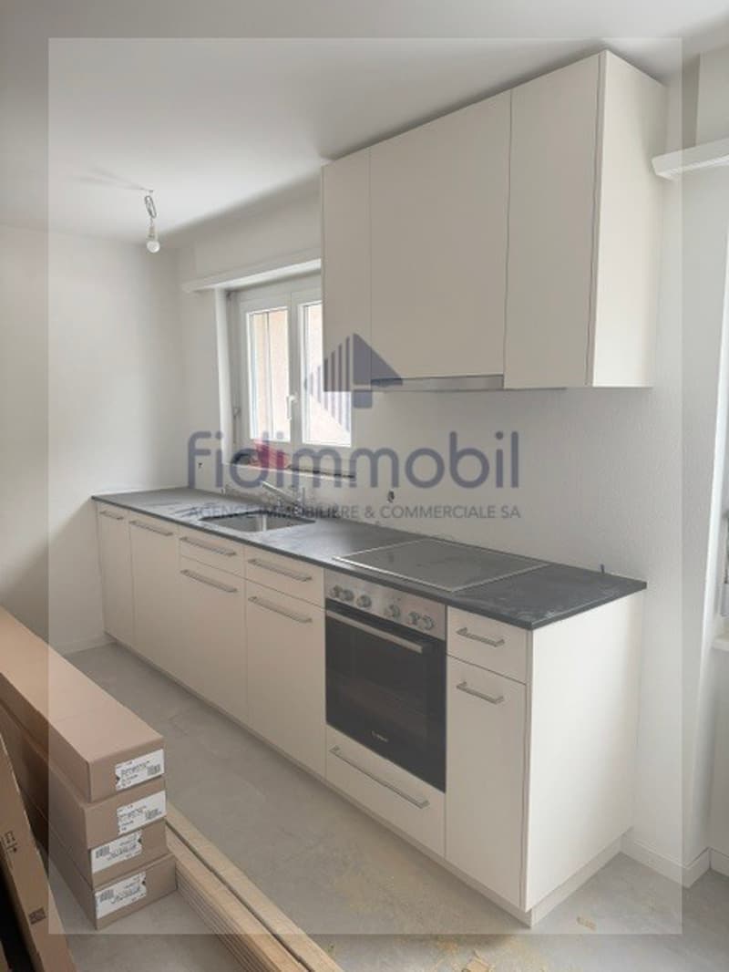 Appartement de 4 pièces entièrement rénové (1)