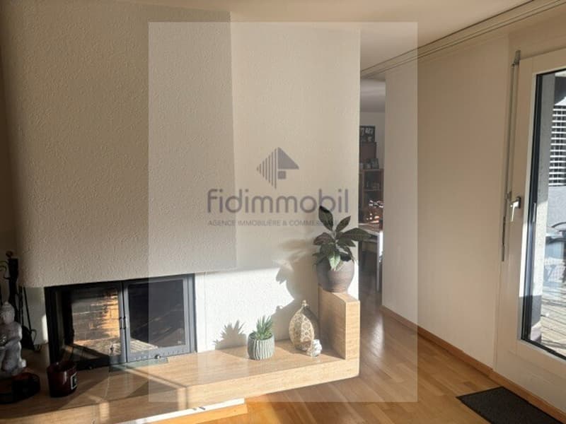 Splendide attique de 4.5 pièces à louer (4)
