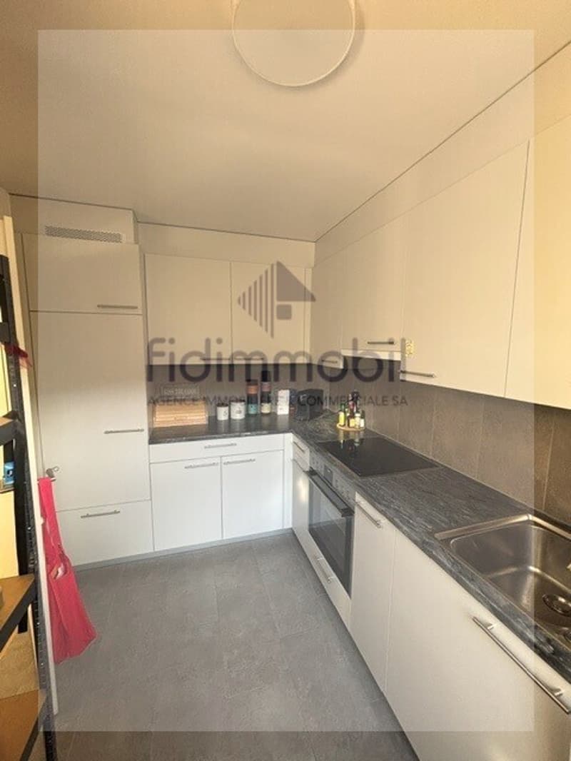 Splendide attique de 4.5 pièces à louer (8)