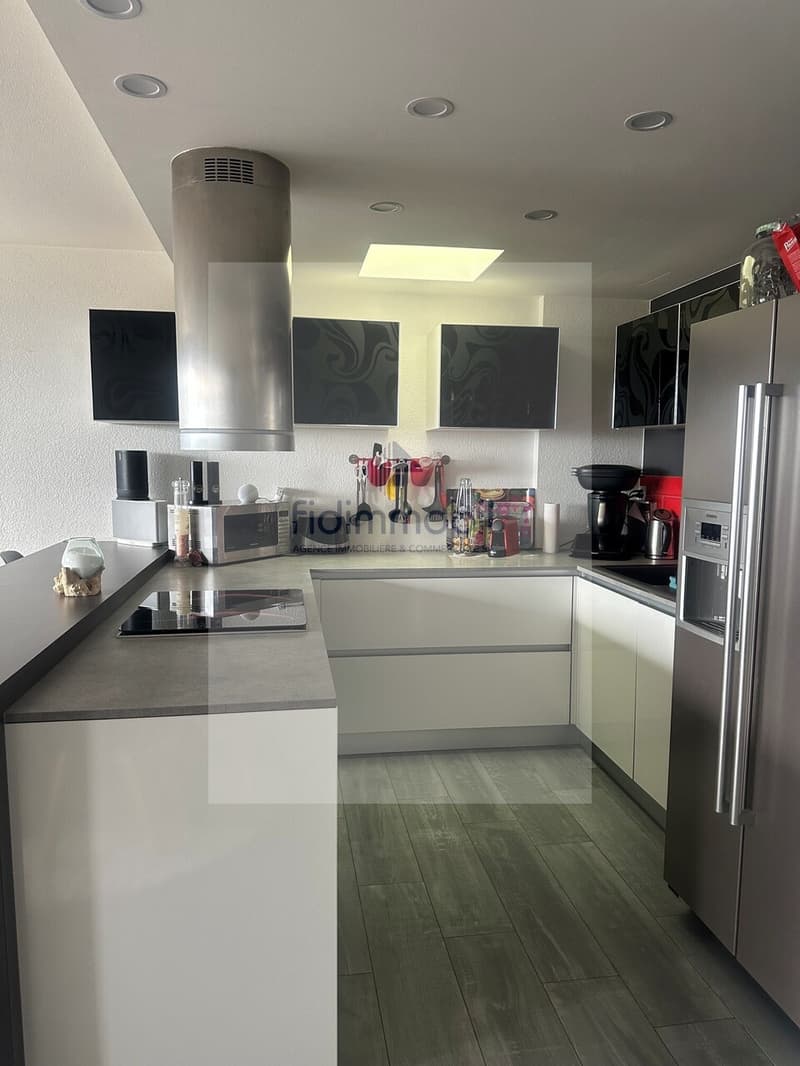 Magnifique appartement (4)