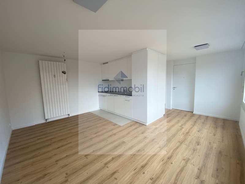 A louer, studio non meublés, Parc 71, La Chaux-de-Fonds (3)