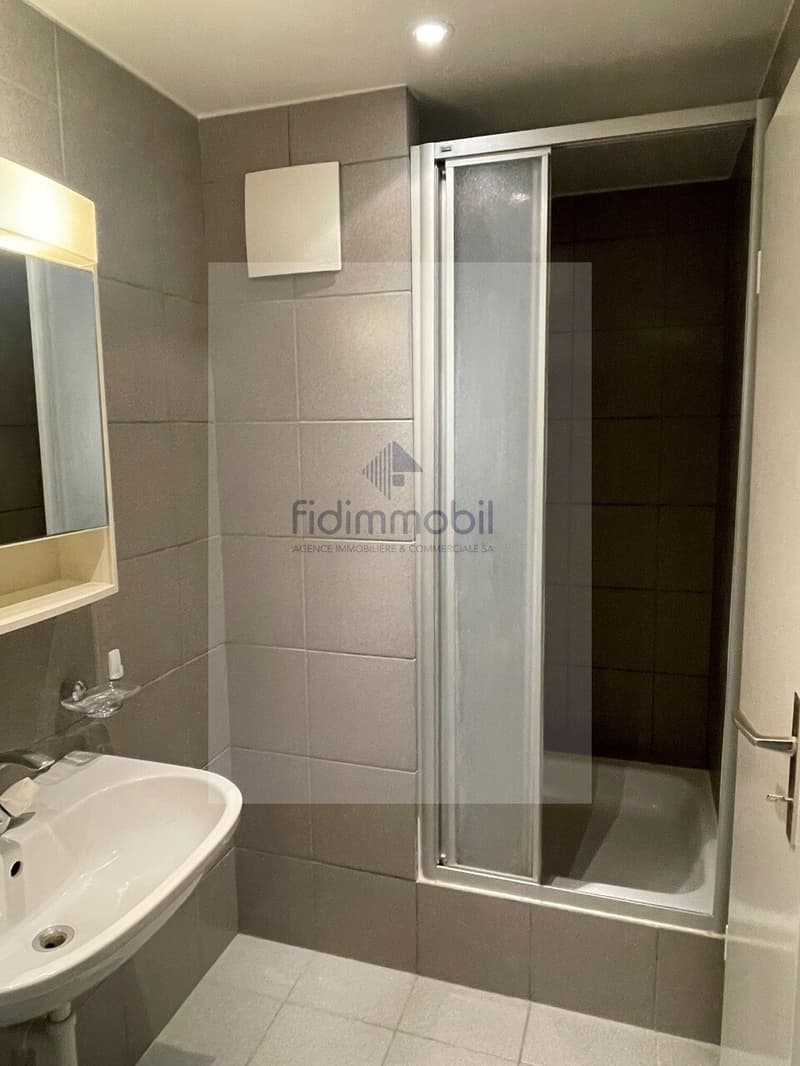 Bel appartement lumineux avec cuisine ouverte au coeur de Neuchâtel (6)
