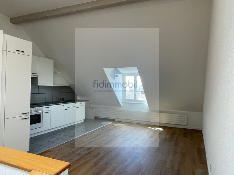 Bel appartement lumineux avec cuisine ouverte au coeur de Neuchâtel (2)